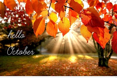 Hello october hd wallpapers.jpg