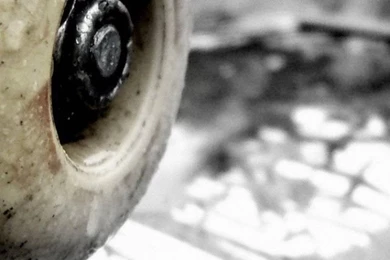 Skate Wheels iPhone 5 Wallpapers