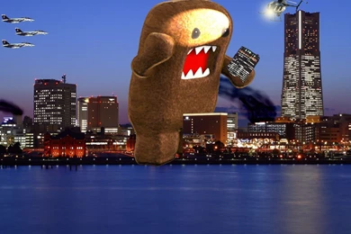 Domo Wallpapers Hd Wallpapers   203052