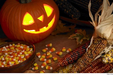 Funny Halloween 2013 – Funny Pictures, Awesome Pictures, Funny ...