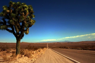 Nature Road desert hd wallpaper 1920x1080 hd wallpapers desert ...