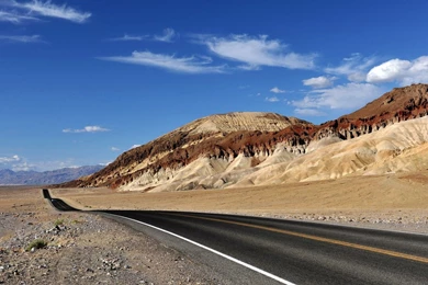 Life In Desert Wallpaper, Life In Desert Pictures