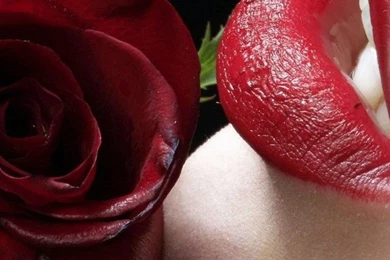 Red Lips Rose Best Htc One Wallpapers, Free And Easy To Download