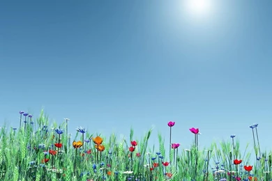 Springtime Backgrounds Pictures