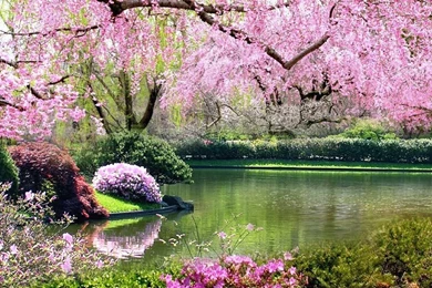 Gallery For Free Springtime Backgrounds Wallpapers