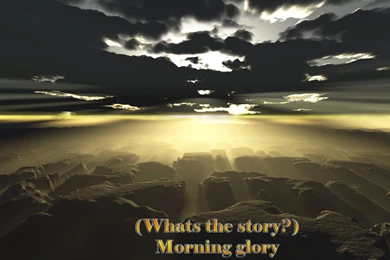 Oasis Wallpapers   Oasis Wallpapers (2352981)   Fanpop