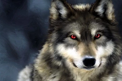 Gallery For   Wallpapers Wolves Pictures