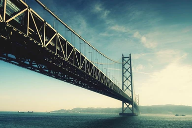 IWallpapers   Beautiful Forest Backgrounds