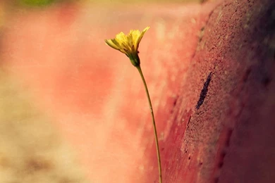 Galaxy Star iPad Air Wallpapers Download