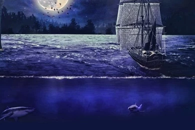 iPad Mini 2 Wallpapers On Pinterest