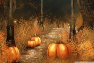 Pumpkins Halloween HD Desktop Wallpapers : Mobile : Dual Monitor