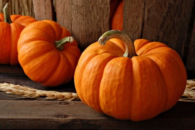 Gallery For   Free Pumpkin Wallpaper Backgrounds