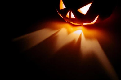 Pumpkin Wallpaper Backgrounds