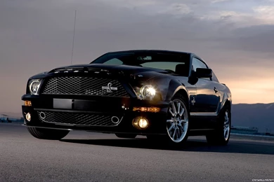 Black Mustang Wallpaper Images