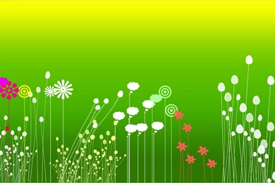 Flowers With Green Backgrounds   ImgMob