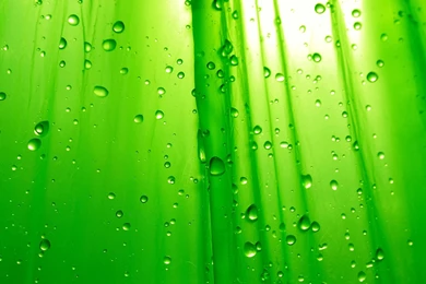 Green Color Backgrounds Wallpapers   Jaidendesigns.com