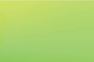 Green Floral Wallpapers   HD Wallpapers Lovely