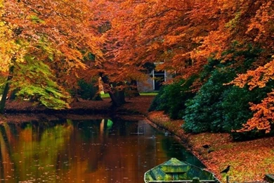 Lake In Autumn Landscape HD Desktop Wallpapers : High Definition ...