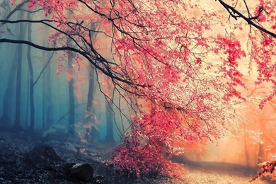 1080x960 Hot Wallpapers For Phone Download   2   1080x960   Hot ...