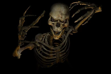 Dark Skull Wallpapers