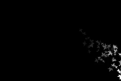 Best Black Wallpapers   All Wallpapers New