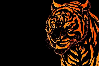 Fire Tiger Abstract Hd Wallpapers