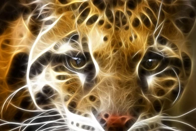 3D Fire Tiger Wallpapers