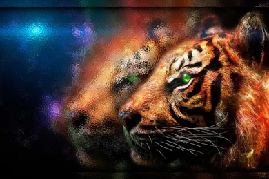 TIGER AND FIRE WALLPAPER