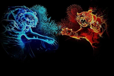 Abstract Fire Tiger Wallpapers Hd