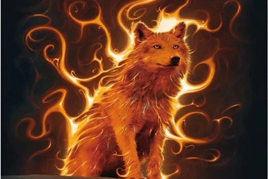 Wallpapers   HD Desktop Wallpapers Free Online: Fire Wallpapers