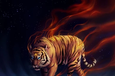 Tiger Wallpapers