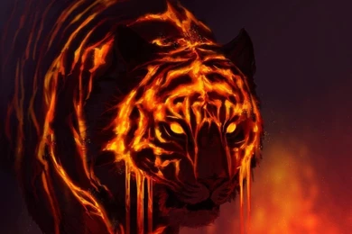 Gallery For   Lava Tiger Wallpapers