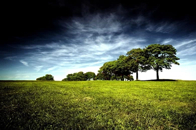 Marc Thiessen A Court Stenographer For War Criminals, Burned Blue ...