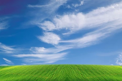 Fields: Green Field Blue Skies Clouds Sky Full HD For High ...