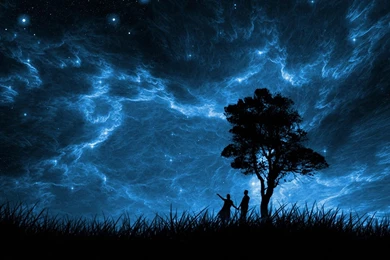 Night Stars Grass Silhouette Moonlight People Skies Wallpapers ...