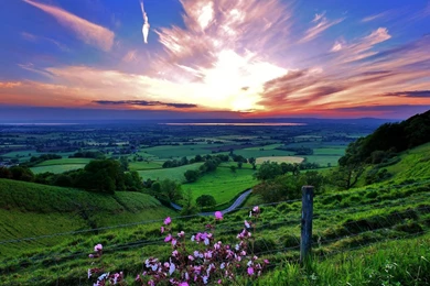 Flowers Pink Grass Hills Valleys Burst Skies Wallpapers