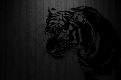 Black Color Wallpapers   500 Collection HD Wallpapers