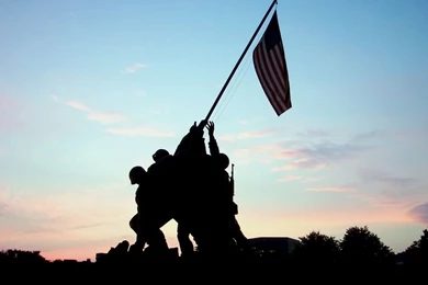 Support Our Veterans   Home