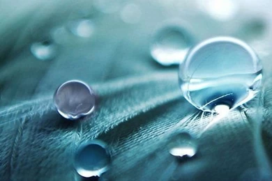 Download Latest iPhone 5 HD Wallpapers Bundle   29   Pelfind