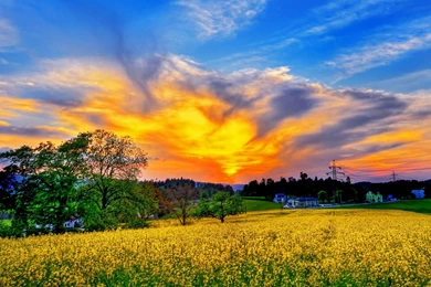 Dream Spring 2012   Beautiful Sky Wallpapers   HD Wallpapers 96648