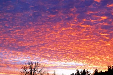 Beautiful Purple Morning Sky Wallpapers