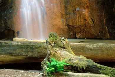 Nature Wallpapers HD Free:Computer Wallpapers