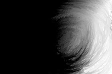 Wallpapers Black And White Desktop Backgrounds