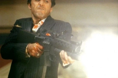 On Careers And Scarface   The Canberra Entrepreneur