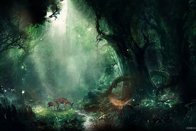 Fantasy Forest HD Wallpapers   IHD Wallpapers