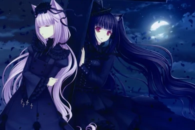 Catgirls Wallpapers   Anime Wallpapers