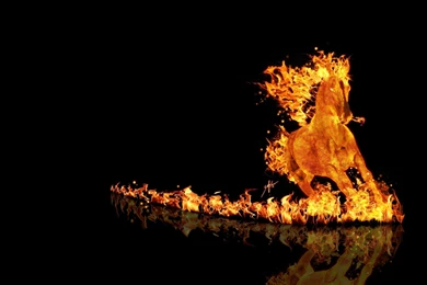 Horse On Fire With A Burning Trail   WALLPAPERS HD