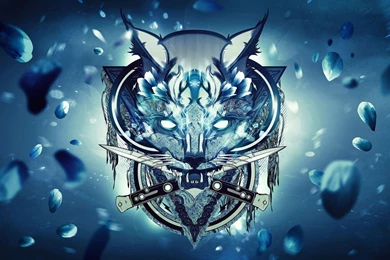 Wolf Wallpapers 1920x1080