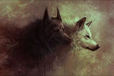Wolves Artwork Wallpapers