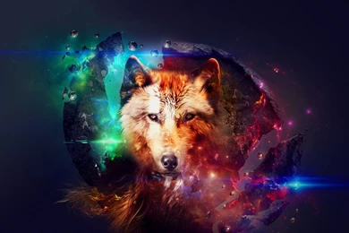 Fantasy wolf head in the space 1920x1200 digital art desktop wallpaper 26862.jpg